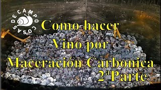 Como hacer vino tinto por maceración carbónica Parte 2 [upl. by Eentihw]