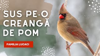 Sus peo creangă de pom  Familia Lucaci Official Video [upl. by Amzu655]