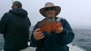 Catching red snapper beeliners and grouper with Cub on 3224 offshore in Panama City [upl. by Aisanat752]