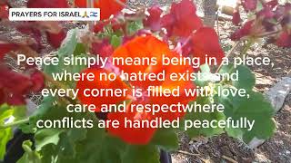 PEACE INSPIRATIONAL QUOTES PEACE ISRAEL🙏🇮🇱peace peacefulmusic israel [upl. by Alled610]