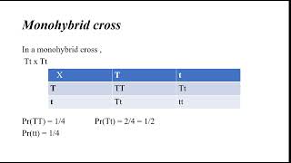 Probability in Genetics Monohybrid Dihybrid and Trihybrid crosses Part1 [upl. by Morgana]