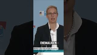 Weidel Statement zu Olaf Scholz shorts afd statement [upl. by Irual]