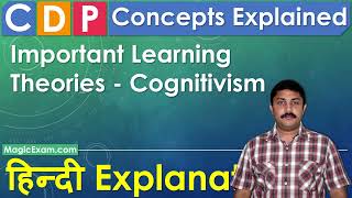 Important Learning Theories  Cognitivism  CDP Concepts  हिन्दी Explanation [upl. by Smeaj961]