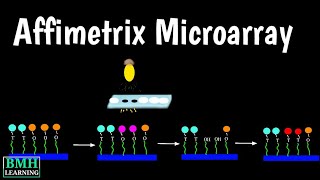 Affymetrix Microarray  Affymetrix Genechip  Affymetrix Genechip Oligonucleotide Microarray [upl. by Olinde344]