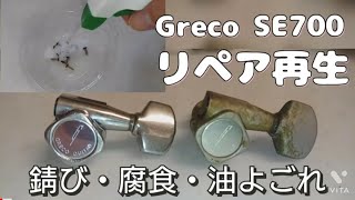 ジャンク Greco SE 700 リペア・オーバーホール 【① サビ取り 編 】 中古 ギター 修理 ペグ ネジ 錆び ネジザウルスリキッド クエン酸 [upl. by Leen]