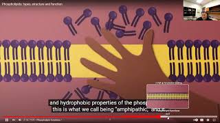 Intro to Biochemistry part 2  Lipids Proteins and Nucleotides [upl. by Fabrianna515]