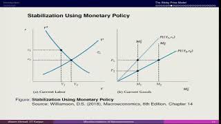 Lecture 28 New Keynesian Sticky Prices II [upl. by Jonie]