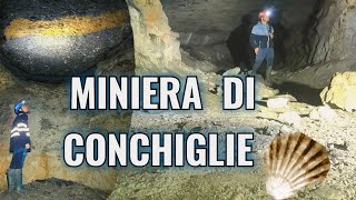 MINIERA DI CONCHIGLIE [upl. by Kreegar]