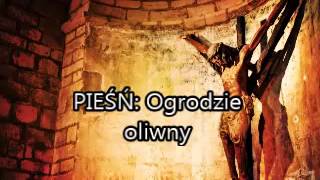 Ogrodzie oliwny  Wersja Instrumentalna [upl. by Mosenthal]