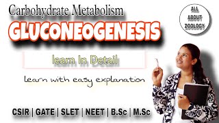 Carbohydrate Metabolism GLUCONEOGENESIS  Glucose Synthesis Pathway  Function  Biochemistry [upl. by Alyhs]