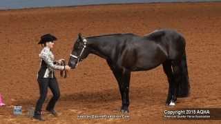 A Judges Perspective 2015 AQHYA Showmanship World Champion [upl. by Francyne70]