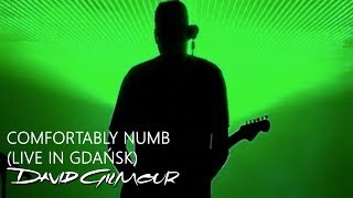 David Gilmour  Comfortably Numb Live In Gdańsk [upl. by Alehc296]