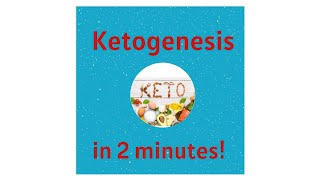 Ketogenesis and Ketones in 2 minutes [upl. by Eniamurt]