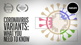 Coronavirus variants What you need to know [upl. by Aoht]