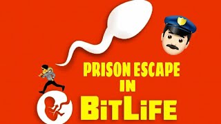 HOW TO ESCAPE EVERY PRISON IN BITLIFE EASIEST WAYS TO ESCAPE EVERY PRISON [upl. by Heger]