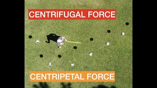 What is the difference between centripetal and centrifugal force [upl. by Eema]