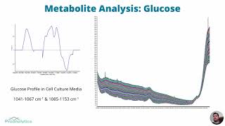 Mammalian Cell Culture  Raman as a Means of Monitoring amp Controlling Upstream Bioprocesses [upl. by Four]