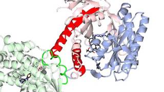 Adenylate cyclase activation with sound [upl. by Kcirrem]