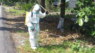 HERBICIDE SPRAYING WORKING VIDEO [upl. by Docilla501]