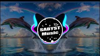 🐬 Symphony  Clean Bandit ft Zara Larsson REMIX SABYST [upl. by Patricio719]