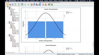 Descriptive Data Analysis with SPSS [upl. by Tye]