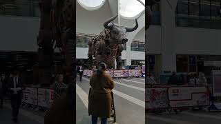 bullring birmingham bull uk  tamil [upl. by Ttirrej]