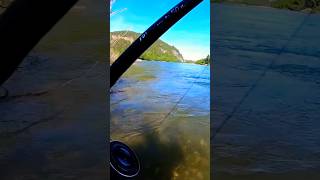 Fishinglife  Laksefiske fishing salmonfishing foryou fish fiske laksefiske foxnfishing [upl. by Annovy]