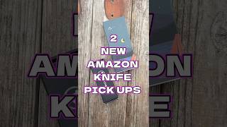 2 New Amazon Knife Pick Ups edc shorts blade knife pocketknife [upl. by Yrrep296]