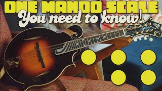 Best Cheap Mandolin under 100 [upl. by Odradlig152]