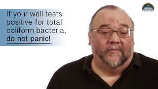 Total Coliform Bacteria Well Water Quality Testing Positive E coli [upl. by Burg]