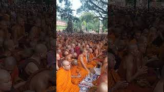 Chanting international maha sangha under the Bodhi tree [upl. by Ahsikit]