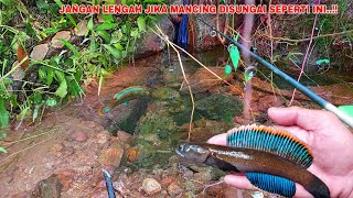 MENGERIKAN Hati Hati Kalo Mancing Ikan Channa Limbata Disungai Seperti Ini [upl. by Arianne]