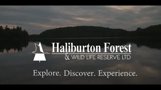 Haliburton Forest  Explore Discover Experience [upl. by Eimmaj]