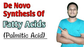 De Novo synthesis of fatty acids Palmitic acid  biochemistry bpharma2ndsemester [upl. by Sekofski]