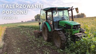 Kilka słów o uprawach podczas talerzowania poplonu Vlog 11 [upl. by Fortuna]