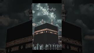 islamicvideo 1000subscriber faniwrites [upl. by Nosnevets562]