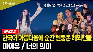 해외반응 아이유 ‘너의 의미’ 재미있는 해외반응 모음  한국인에게도 심오한 내용의 가사 외국인 반응은 [upl. by Edik931]