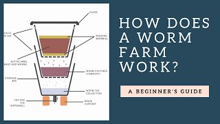 How Does a Worm Farm Work Plus Tips [upl. by Nessy168]