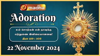 🔴 LIVE 22 November2024 Adoration 1100 AM  Madha TV [upl. by Yila]