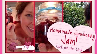 Homemade Juneberry Jam an Odd Lost Tree and a Cool Thing With a Mason Jar [upl. by Straus]