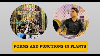 Class 11th  Forms And Functions In Plant  Lecture 7  Support In Plants  Meristematic Tissues [upl. by Lilaj763]