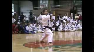 The Storm of Tang Soo Do [upl. by Cristine]