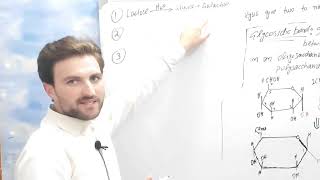 Oligosaccharides Definition Properties classification and Glycosidic linkage in simple poshto [upl. by Miun]