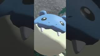 funny spheal roll [upl. by Lily]