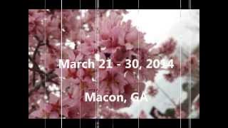 Cherry Blossom Festival 2014 Macon GA [upl. by Enilekaj]