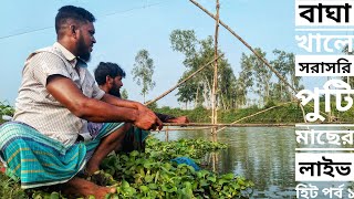 Life hit withe hook fishing✅Puti fish catch by road 🐬Amazing puti fishing [upl. by Meer902]