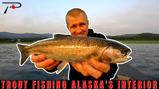 Trout Fishing Alaskas Interior [upl. by Jacinthe372]