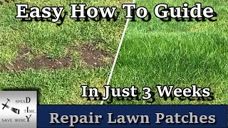 How to repair patches in your lawn Seed bare spots [upl. by Haye644]