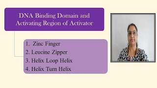 DNA Binding Domain Activating Region Zinc FingerLeucine ZipperHelix Loop HelixHelix Turn Helix [upl. by Dazhehs]