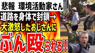 環境活動家が手を繋ぎ集団で道路を封鎖！→激怒したおじさんにボコボコにされ完全敗北してしまう【ゆっくり解説】 [upl. by Yelhsa598]